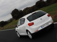SEAT Ibiza 2008 photo