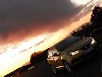 SEAT Ibiza 2008 photo