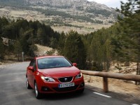 SEAT Ibiza 2008 photo