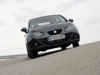 SEAT Ibiza 2008 photo