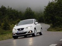 SEAT Ibiza SC 2008 photo
